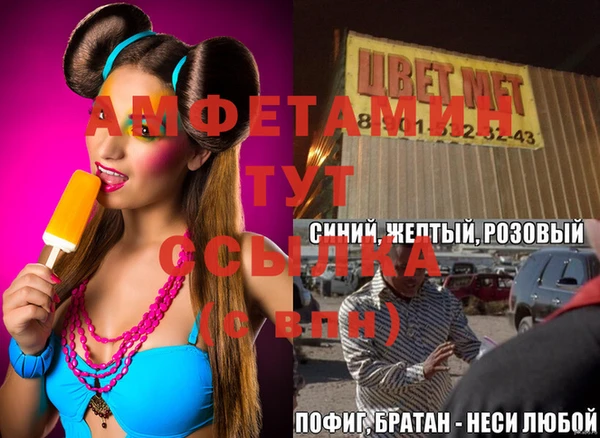 шишки Нея
