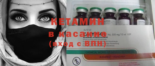 шишки Нея
