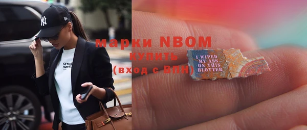 шишки Нея