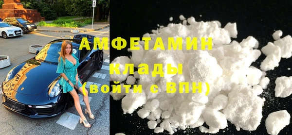 шишки Нея
