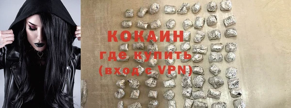 шишки Нея