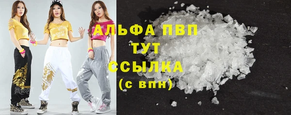 шишки Нея