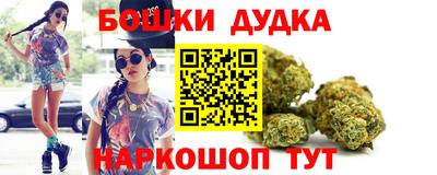 прущие крисы Гатчина