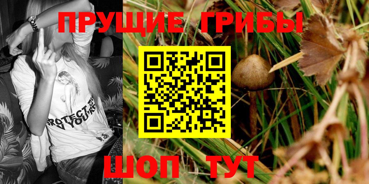 Ялуторовск  Галлюциногенные грибы Cubensis  Вход с VPN 