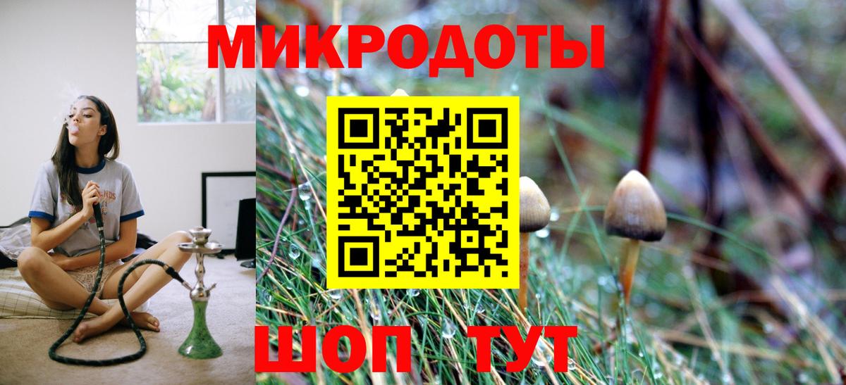 где продают наркотики  Ялуторовск  Галлюциногенные грибы GOLDEN TEACHER 